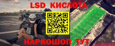 apvp Нальчик