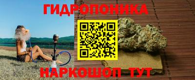 apvp Нальчик