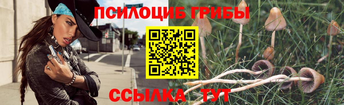 Псилоцибиновые грибы Magic Shrooms  дарнет шоп  Галлюциногенные грибы мухоморы  Дедовск  Вход с VPN 